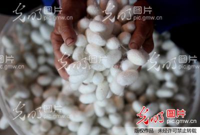 �Ĵ���(n��i)�����O����