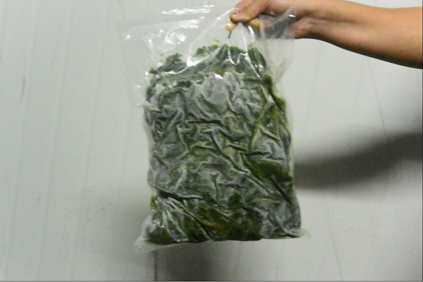 ���õ��Qɣ��Ʒ