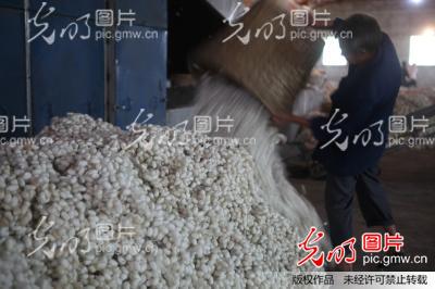 �Ĵ���(n��i)�����O����