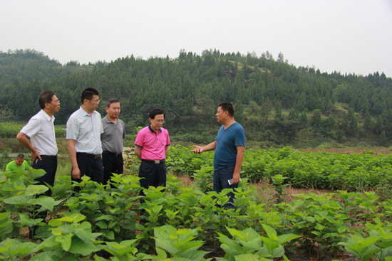 1 034_�{(di��o)����С.jpg