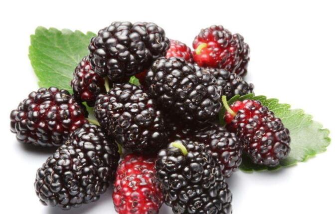 QQ截圖20190416111147