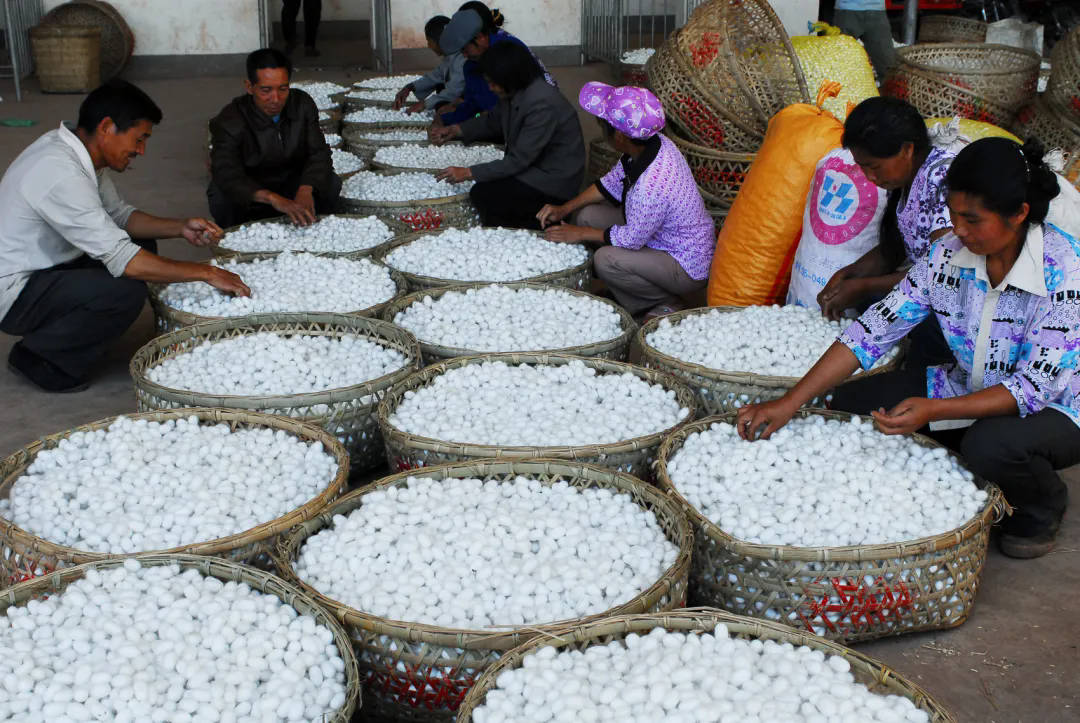 640 (1).webp (2).png